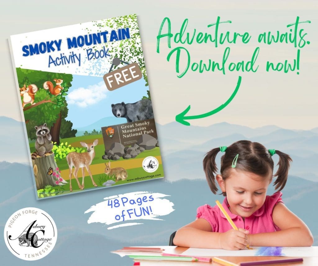 Free Smoky Mountain Activity Book for Kids