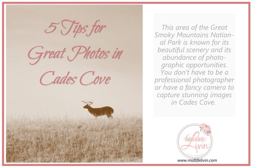 5 Photography Tips for Cades Cove