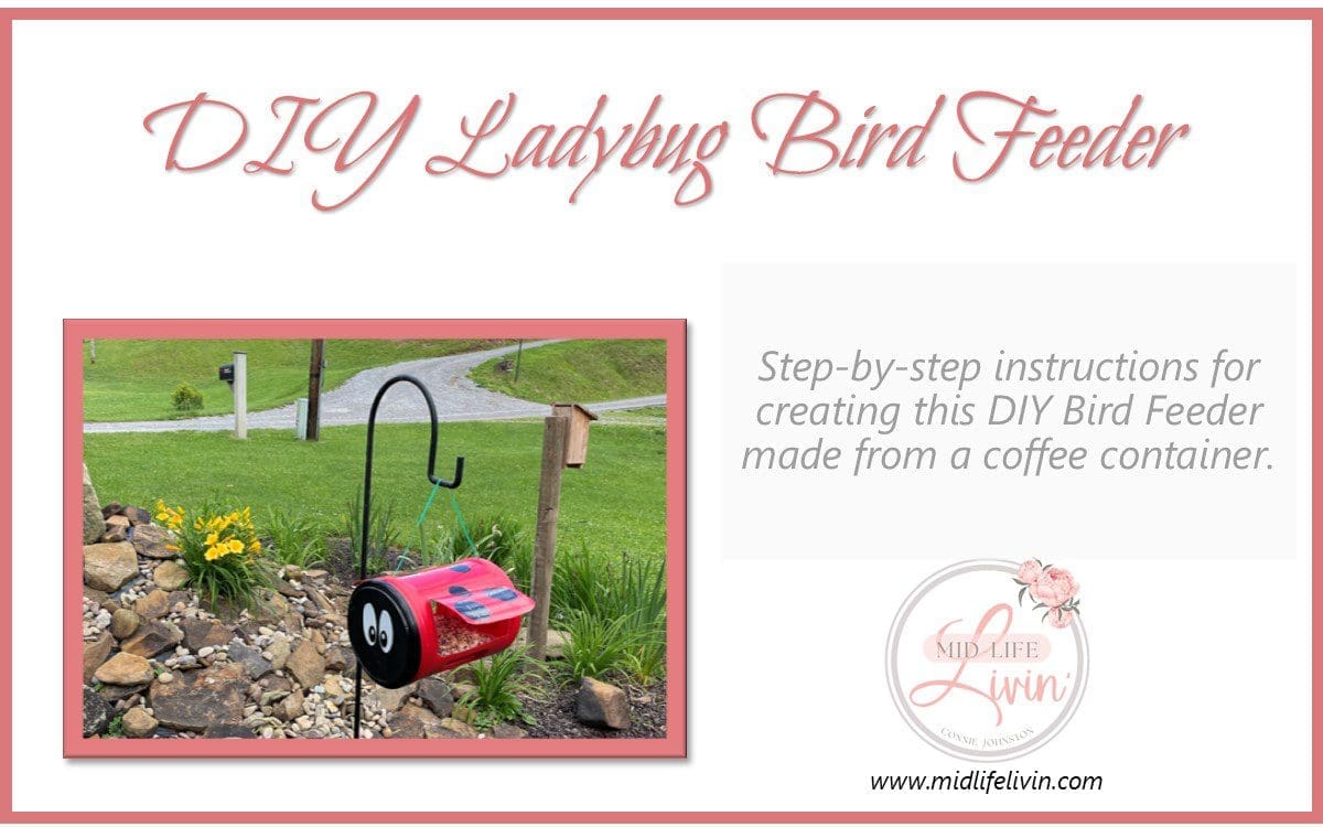DIY Ladybug Bird Feeder