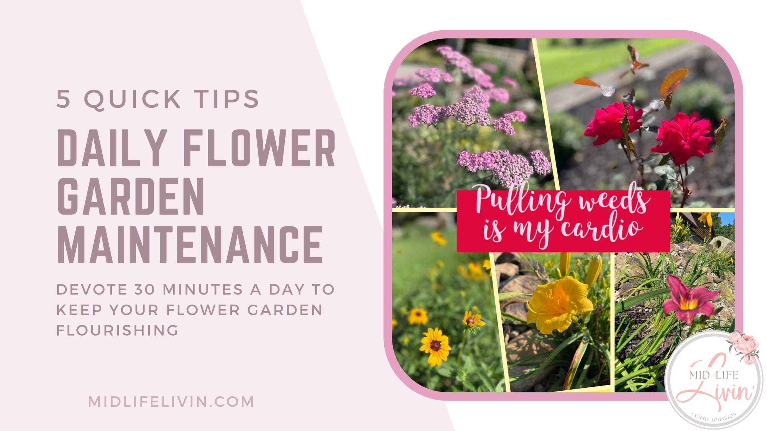 5 Quick Tips for Daily Flower Garden Maintenance