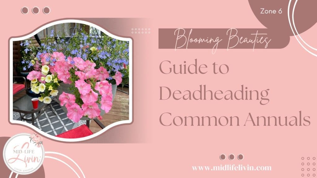 Guide to Deadheading Common Annuals