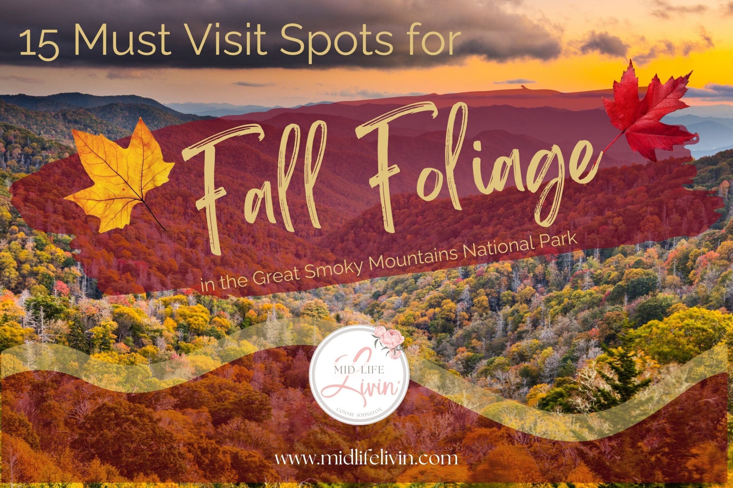 Smoky Mountains Fall Foliage - MLL