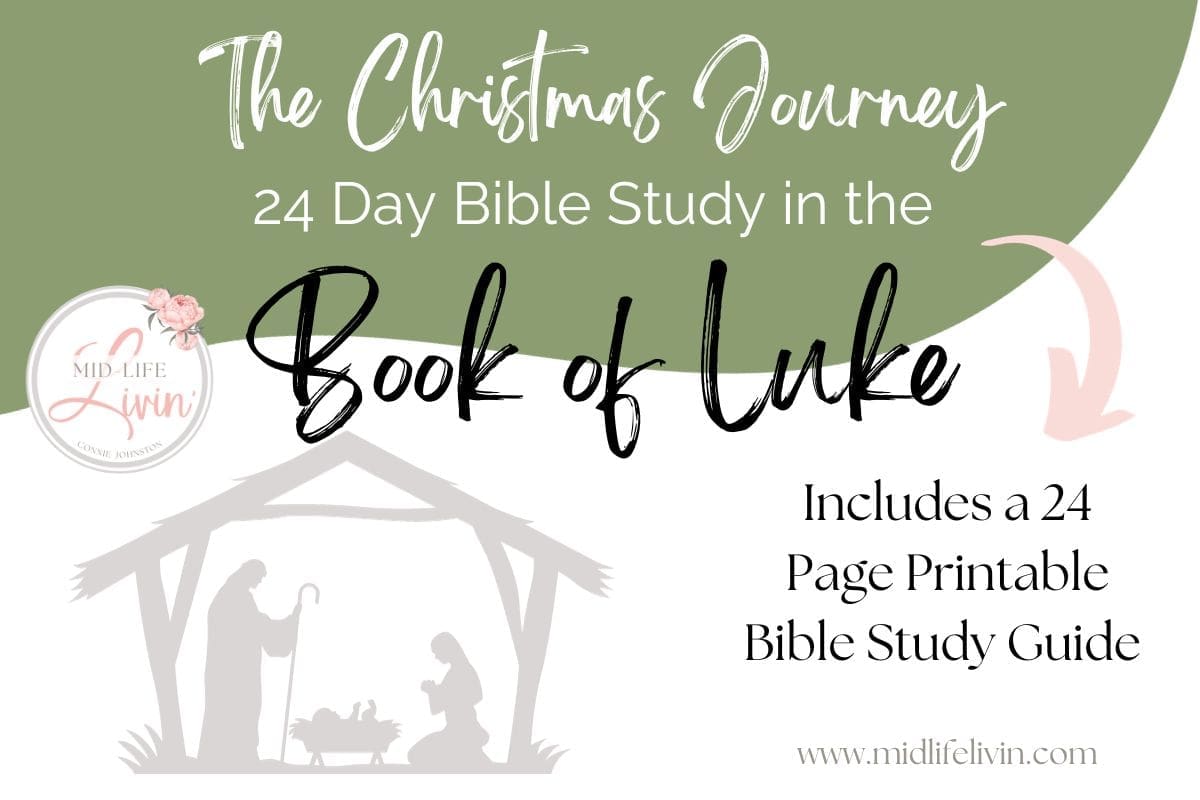 The Christmas Journey - 24 Days with Luke