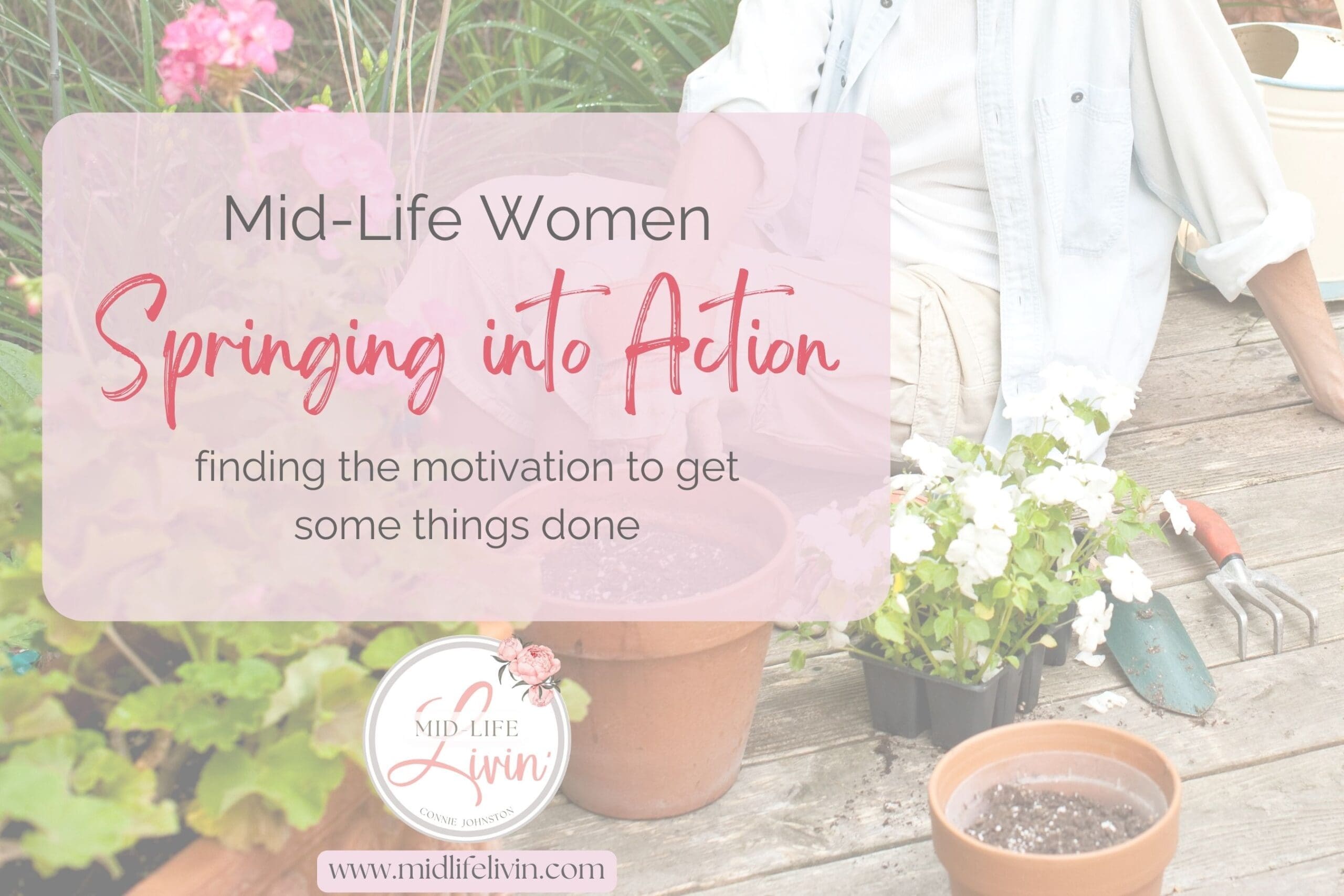Springing into Action - midlife motivation