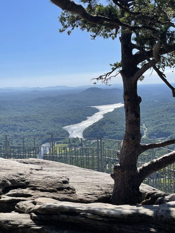 Lake Lure from Chimney Rock
