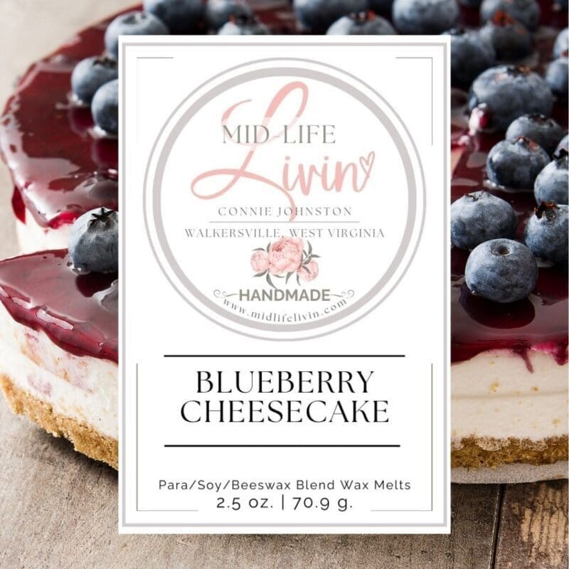 Cube Wax Melts - Blueberry Cheesecake 🌟