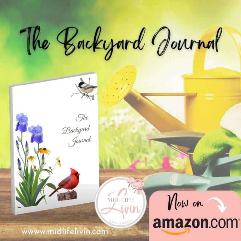 Backyard Journal ad