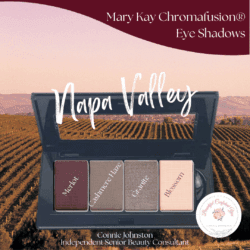 Mary Kay Chromafusion Eye Shadow - Summer Look _Napa Valley