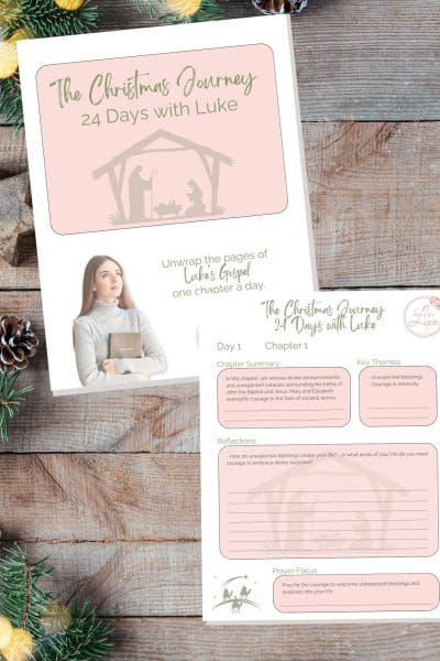 The Christmas Journey 24 Day Book of Luke Bible Study